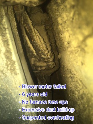 furnace blower motor burnt up